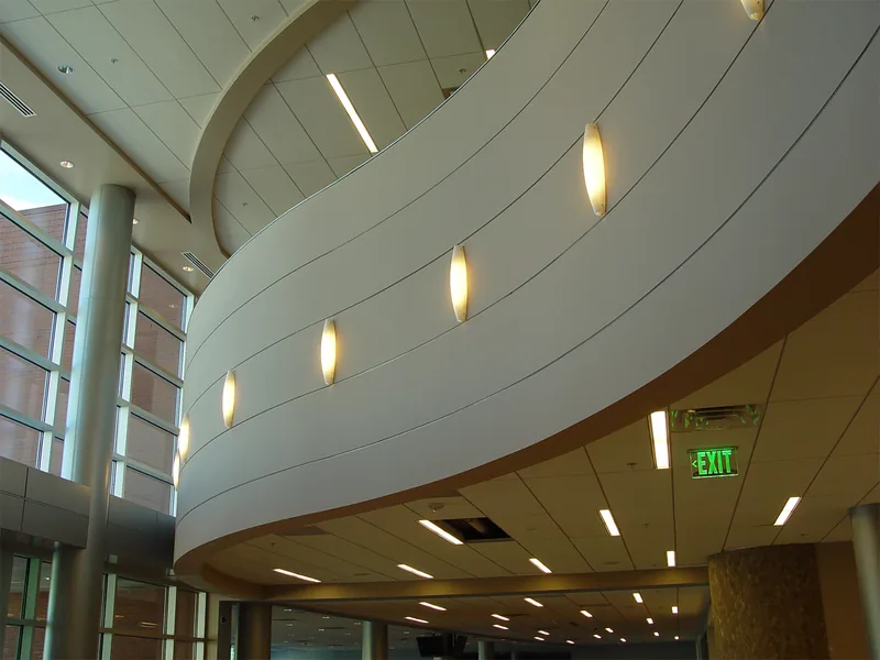 Veneer plaster and Venetian plaster finishes